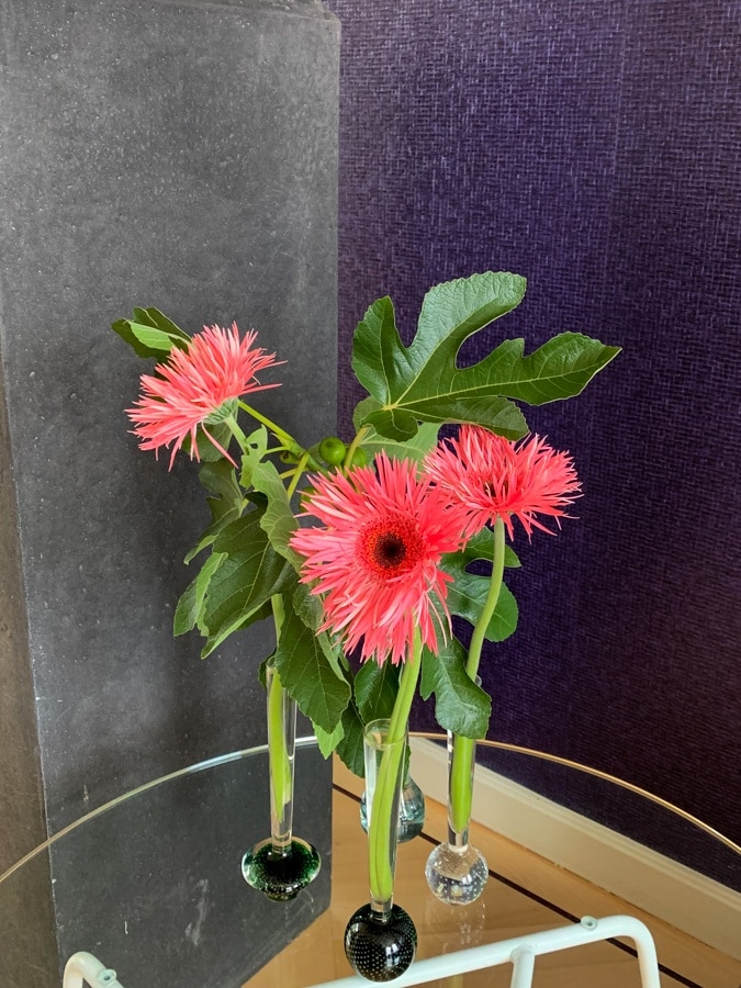 Orange pink gerberas with fig tree branches