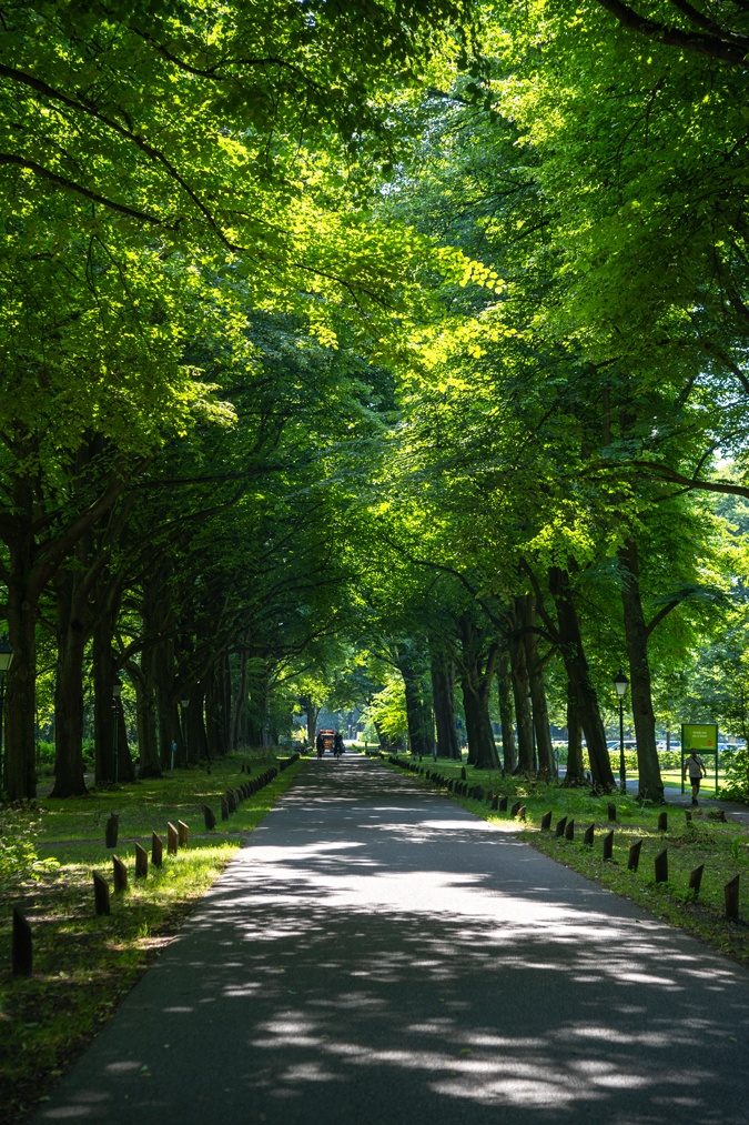 Estate Ockenburg in The Hague