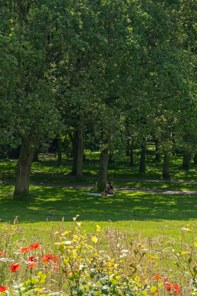 Estate Ockenburg in The Hague