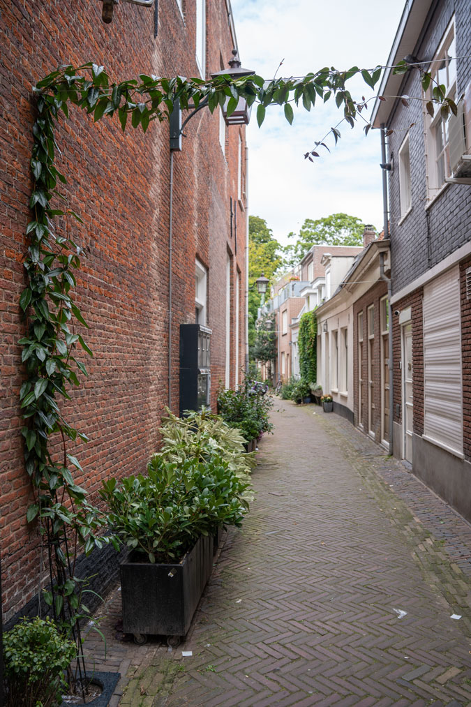 Street in Haarlem