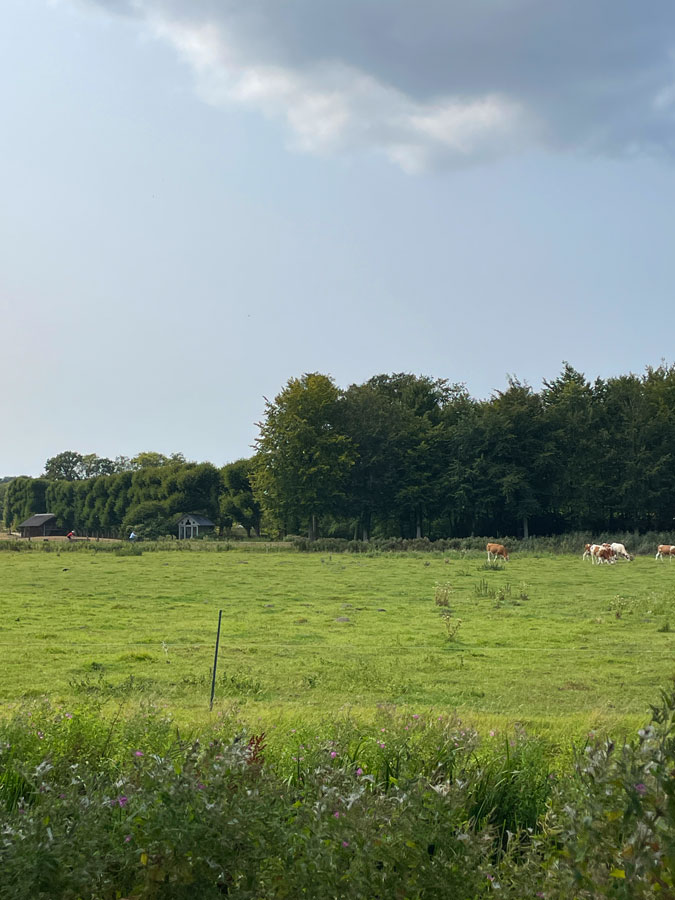 View from the terrace of Het Wapen van Kennemerland / De Stinkende Emmer