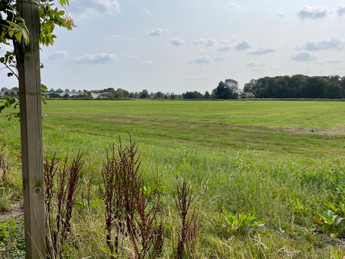 View from the terrace of Het Wapen van Kennemerland / De Stinkende Emmer