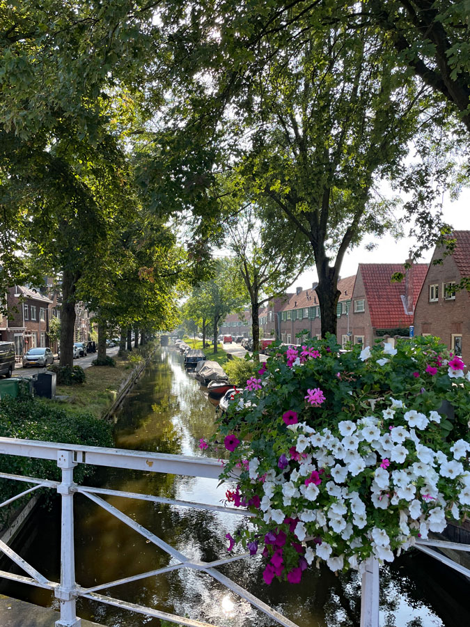 Bridge in summer